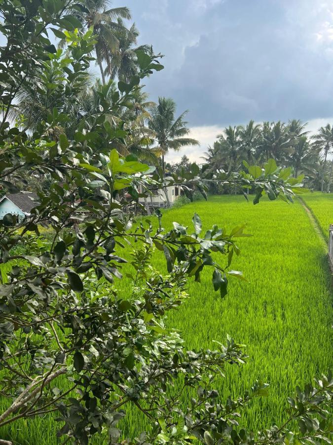Myhome - Lombok Tetebatu Luaran gambar