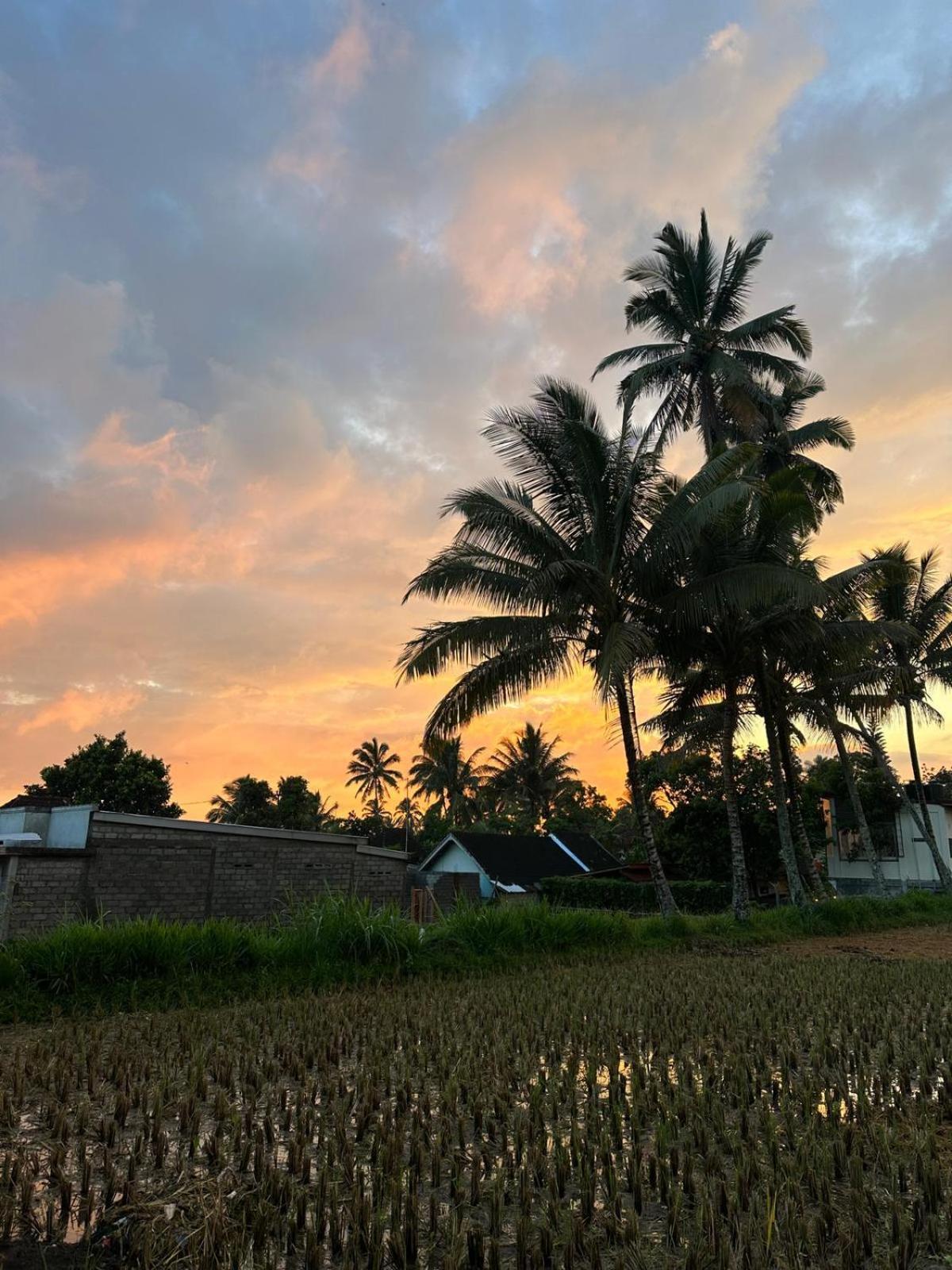Myhome - Lombok Tetebatu Luaran gambar