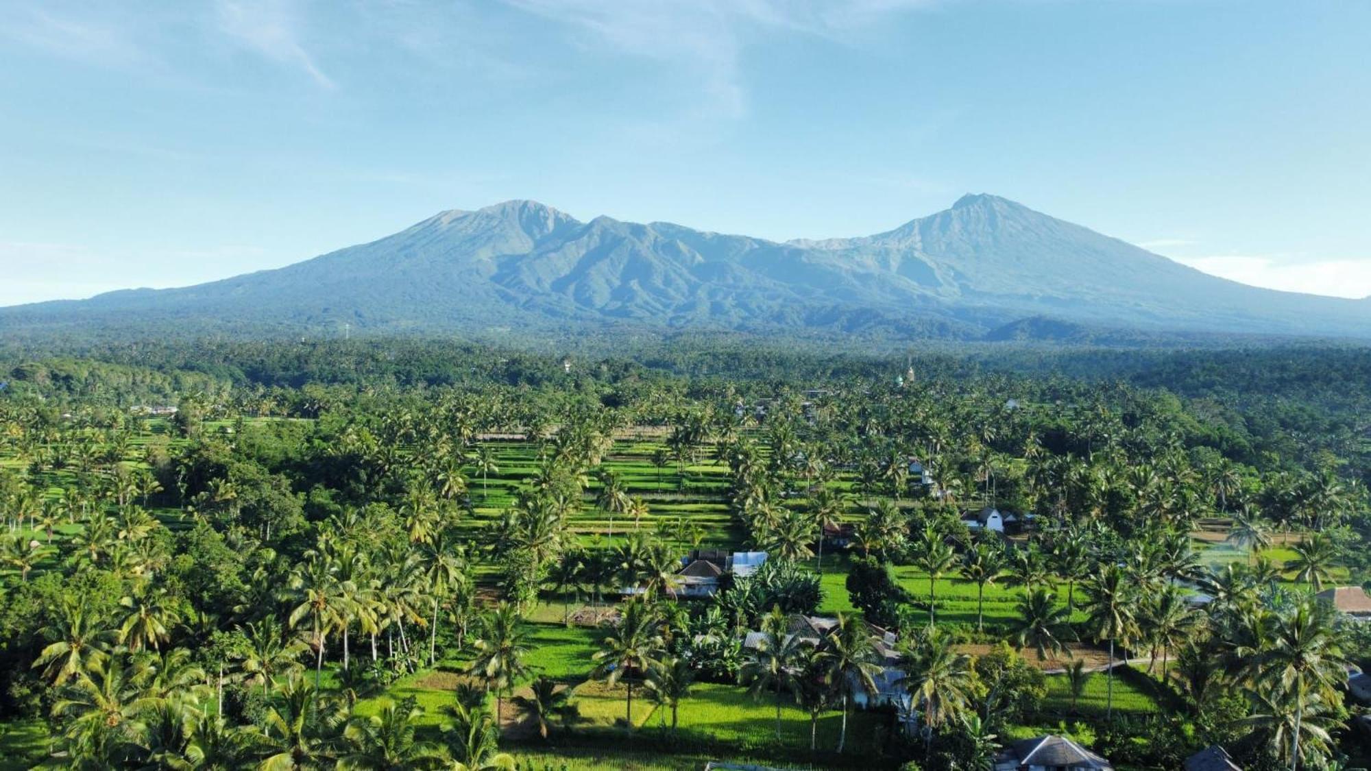 Myhome - Lombok Tetebatu Luaran gambar