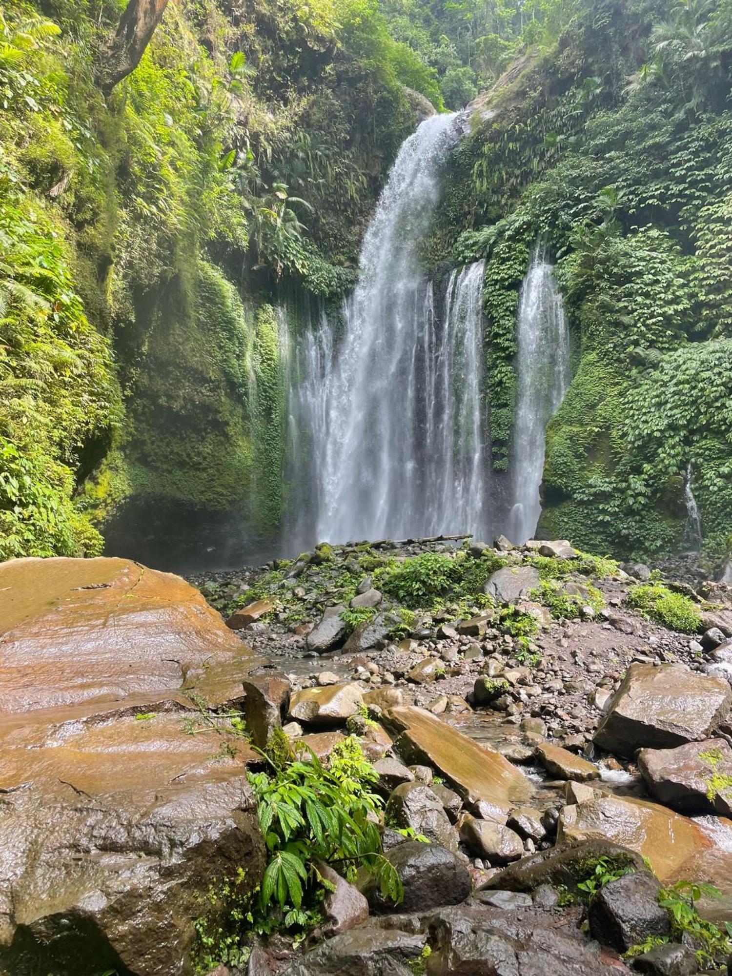 Myhome - Lombok Tetebatu Luaran gambar