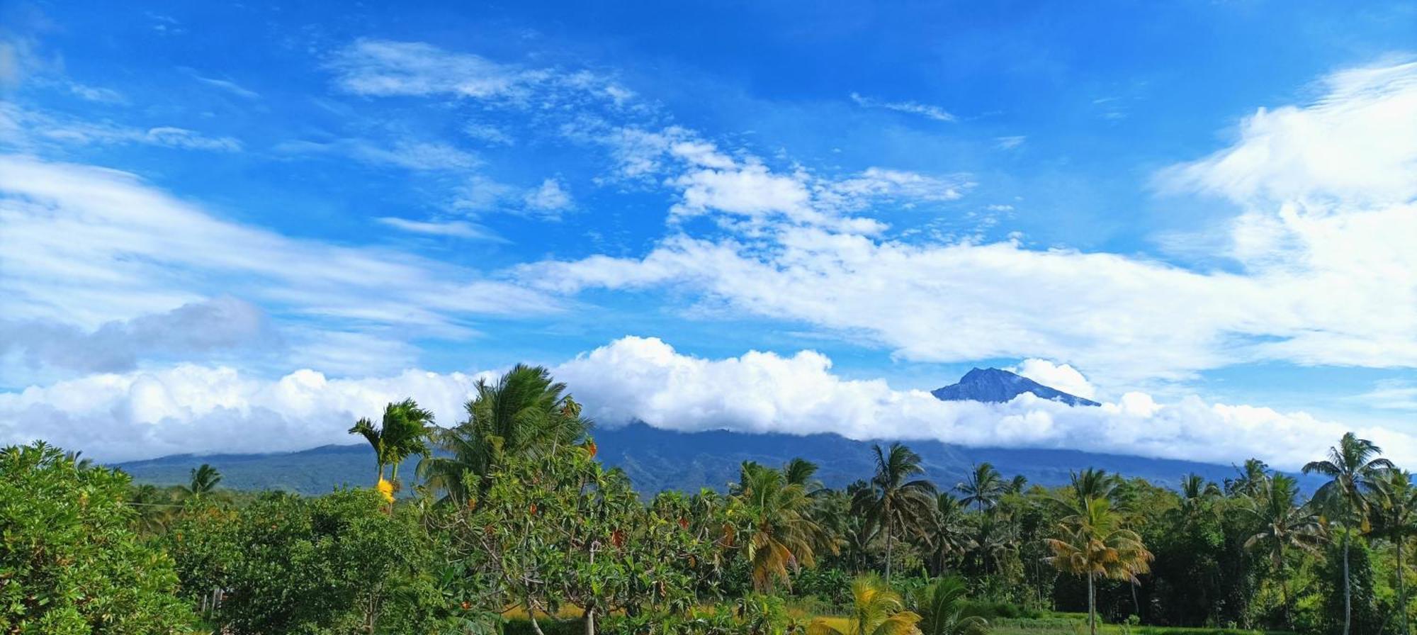 Myhome - Lombok Tetebatu Luaran gambar
