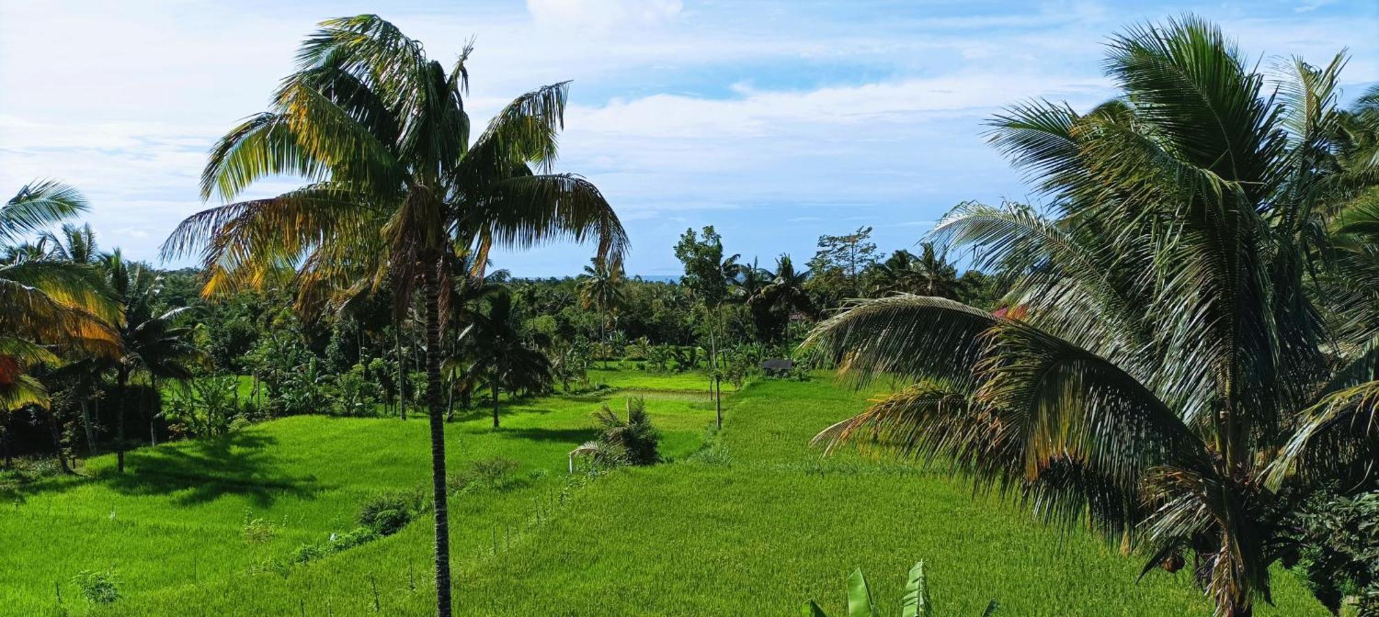 Myhome - Lombok Tetebatu Luaran gambar