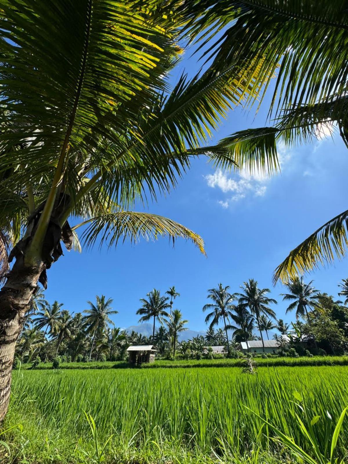 Myhome - Lombok Tetebatu Luaran gambar